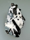 Neptunite, Benitoite Gem Mine, San Benito County, California, Mined c. early 2000s, ex. William Mickols Collection, Miniature, 2.3 x 3.0 x 6.0 cm, $125. Online 3/2.