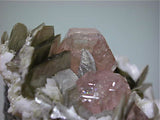 Fluorapatite and Muscovite on Albite, Chumar Bakhoor, Baltistan, Gilgit, Pakistan Small cabinet 6.5 x 7 x 9 cm $6500. online 10/21