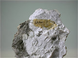 Witherite with Alstonite, Bethel Level Minerva #1 Mine attr., Minerva Oil Company attr., Cave-in-Rock District Southern Illinois, Mined ca. 1950s - 1960s, Noll Collection #CN2545, Miniature 2.0 x 5.0 x 8.5 cm, $300. Online 07/08. SOLD.