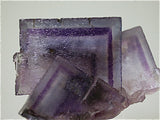 Fluorite with Galena, Rosiclare Level, Main Orebody, Denton Mine, Ozark-Mahoning Mining Company, Harris Creek District, S. Illinois, Pillar-robbing March 1994, Kalaskie Collection #42-259, Miniature 3.5 x 3.5 x 5.5 cm, $350. Online 1/14