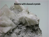 Rosette with cleaved crystals