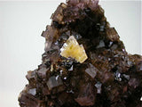 Barite and Sphalerite on Fluorite, attr: Sub-Rosiclare Level, Denton Mine, Ozark-Mahoning Company, Harris Creek District, Southern Illinois Miniature 3 x 5 x 6 cm $125. Online 5/10 SOLD