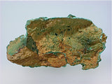 Malachite, Sherman Mine, Leadville, Lake County, Colorado, Kalaskie Collection #548, Miniature 2.0 x 3.0 x 5.5 cm, $250. Online 2/27.