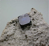 SOLD Bixbyite on Phyolite, Thomas Range, Juab County, Utah, Collected c. 2004, Kalaskie Collection #1150, Miniature 2.2 x 3.7 x 4.0 cm, $125.  Online 11/9.