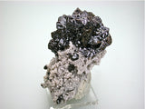Sphalerite with Quartz and Dolomite, Elmwood Complex near Carthage, Smith County, Tennessee, Mined ca. 2011, Kalaskie Collection #187, Small Cabinet 6.0 x 7.0 x 8.5 cm, $200. Online 1/12
