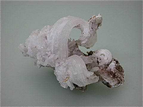 SOLD Selenite var. Ram's Horn, Naica Complex, Chihuahua, Mexico, Kalaskie Collection #808, Small Cabinet 7.0 x 7.0 x 12.5 cm, $450. Online 1/12.