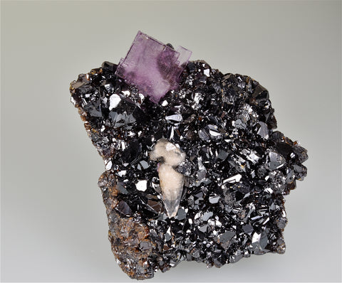 SOLD Sphalerite and Fluorite, Sub-Rosiclare Level, Deardorff Mine, Ozark-Mahoning Company, Cave-in-Rock District, Southern Illinois, Mined c. 1960's, Wayne Fowler Collection, Small Cabinet 4.0 x 9.0 x 10.5 cm, $450. Online 8/10.