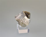 Pyrite, Gjudurska Mine, Zlatograd District, Smolyan Oblast, Bulgaria, Mined 2012, Miniature, 3.0 x 3.3 x 3.5 cm, $40.  Online 3/20