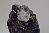 Fluorite on Wolframite, Kara-Oba, Kazakhstan, Mined c. 1990, Kalaskie Collection #42-200, Miniature 2.7 x 5.0 x 7.8 cm, $200.  Online 11/1.