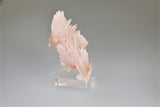 Strontianite, Rosiclare Level, Minerva #1 Mine, Ozark-Mahoning Company, Cave-in-Rock District, Southern Illinois, Mined April 1995, Ralph Campbell Collection, Miniature 4.5 x 5.0 x 8.0 cm, $500. Online 11/3