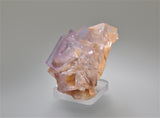 ON APPROVAL Fluorite on Barite, Berbes Spain, Ralph Campbell Collection, Miniature 3.0 x 3.0 x 5.5 cm, $450. Online 10/4.