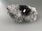 Sphalerite on Quartz, Borieva Mine, Madan District, Bulgaria, Mined c. 2012, Miniature 3.0 x 4.5 x 7.5 cm, $85.  Online January 30.