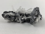 Galena and Quartz, Kruchev dol Mine, Madan District, Bulgaria, Mined c. 2012, Miniature 4.5 x 5.0 x 9.0 cm, $125.  Online November