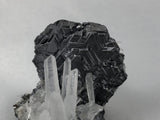 Galena and Quartz, Kruchev dol Mine, Madan District, Bulgaria, Mined c. 2012, Miniature 4.5 x 5.0 x 9.0 cm, $125.  Online November