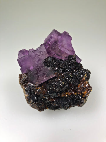 Fluorite and Sphalerite, Sub-Rosiclare Level, Lillie Pod, North End, Denton Mine, Ozark-Mahoning Company, Harris Creek District, Southern Illinois, Mined c. 1984, Ron Roberts Collection FS-51, Miniature 3.0 x 5.0 x 5.0 cm, $200.  Online September 14.