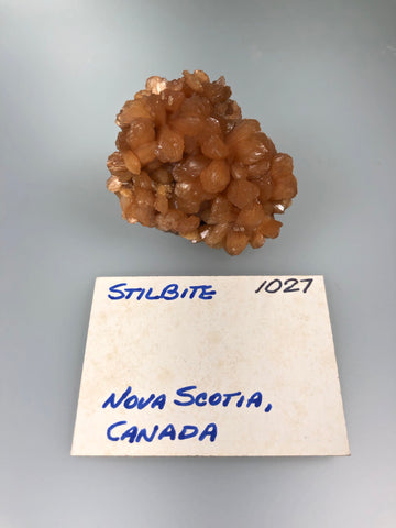 Stilbite, Nova Scotia, Canada, ex. Louis Lafayette Collection #1027, Miniature 1.8 cm x 3.5 cm x 4.5 cm, $75.  Online Nov. 10.