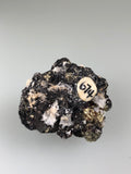 Bornite, Leonard Mine, Butte Mining District, Butte-Silver Bow, Montana, ex. Louis Lafayette Collection #674, Miniature 2.0 x 3.0 x 3.5 cm, $80. Online Nov. 17