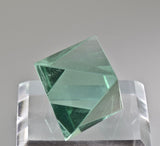 Fluorite, William Wise Mine, Westmoreland, Cheshire County, New Hampshire, Miniature, 2.0 cm on edge, $250. Online 10/9