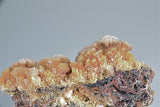 Mimetite, Santa Eulalia, Chihuahua, Mexico, Mined c. mid-1970s, Medium Cabinet 4.5 cm x 7.5 cm x 9.0 cm, $2500. Online Feb. 28.