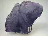 Fluorite with Galena, Sub-Rosiclare Level, Denton Mine, Ozark-Mahoning Company, Harris Creek District Southern Illinois, Mined August 1992, Sam & Ann Koster Collection #00753, Small Cabinet 3.5 x 7.0 x 10.5 cm, $450.  Online 3/4/15 SOLD.