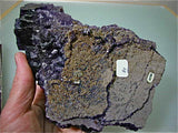 Fluorite with Sphalerite, Sub-Rosiclare Level, Annabel Lee Mine, Ozark-Mahoning Company, Harris Creek District, Southern Illinois, Mined Dec. 1989, Sam & Ann Koster Collection #00790, Medium Cabinet 6.0 x 12.0 x 17.0 cm, $450. Online 4/8/15. SOLD.