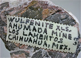 Wulfenite on Calcite, Ahumada Mine, Los Lamentos, Chihuahua, Mexico Miniature 3 x 4.5 x 5 cm $125. Online 3/12