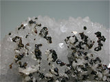 Quartz with Sphalerite and Calcite, Sub-Rosiclare Level, Deardorff Mine , Ozark-Mahoning Company, Cave-i n-Rock District, Southern Illinois Sm all cabinet 3.5 x 7.5 x 8 cm $125. O nline 5/30 SOLD