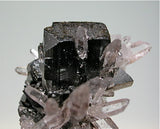Hubnerite and Quartz, Mundo Nuevo Mine, Peru Miniature 3 x 3 x 3.2 cm $125. Online 3/21. SOLD.