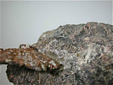 Copper in Basalt, Lake Superior Copper District, attr: Petherick Mine, Copper Falls Complex, Keweenaw County, Michigan Medium cabinet 9 x 9 x 15 cm  $75. Online 6/6