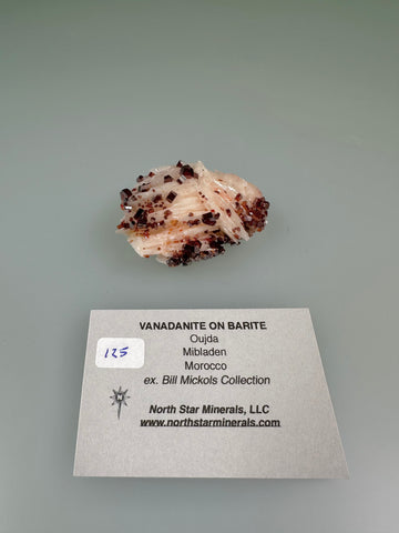 Vanadinite on Barite, Oujda, Mibladen, Morocco, ex. William Mickols Collection, Miniature, 2.5 x 3.5 x 4.5 cm, $125. Online 3/2.