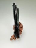 Vivianite, Huanani Mine, Oruro Department, Boliva, MIned c. 1990s, ex. WIlliam Mickols Collection, Miniature, 1.5 x 2 x 7 cm, $250. Online Oct. 9.