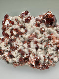 Spessertine and Albite on Muscovite, Tongbei, Fujian Province, China, Mined c. early 2000s, ex. WIlliam Mickols Collection WEM591, Small Cabinet, 1.3 x 6 x 8 cm, $450. Online Oct. 9.