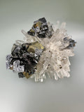 Sphalerite and Galena on Quartz with Chalcopyrite, Deveti Septemvri Mine, Madan District, Bulgaria, Mined 1997, ex. WIlliam Mickols Collection WEM619, Small Cabinet, 3 x 7 x 7.5 cm, $200. Online Oct. 9.