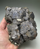 Marcasite on Galena, Tri-State District, Picher, OK, Ex-Jim Mullens, Commerce, OK, Dr. David London Collection L-220, Medium Cabinet , 10 x 11 x 14 cm. $850. Online Feb. 27.