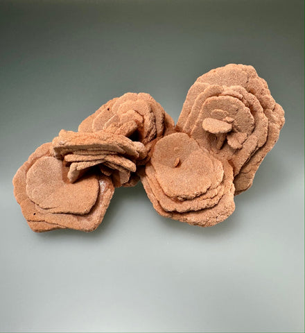 Barite Rose, Garber Sandstone, Cleveland/McClain Counties, OK, Dr. David London Collection, Medium Cabinet 7.5 x 10 x 16 cm, $350. Online Feb. 27.