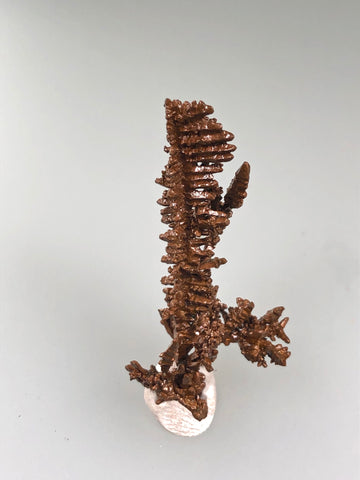 Copper, Champion Mine, Lake Superior Copper District, Houghton County, Michigan, ex. Louis Lafayette Collection, Miniature  1.5 x 2.0 x 3.5 cm, $125. Online 08/25