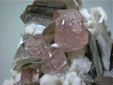 Fluorapatite and Muscovite on Albite, Chumar Bakhoor, Baltistan, Gilgit, Pakistan Small cabinet 6.5 x 7 x 9 cm $6500. online 10/21