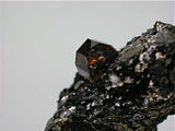Zircon in Biotite Schist, Seiland Island, Alta, Finnmark, Norway miniature 2.5 x 3.5 x 5 cm $450. online 11/19