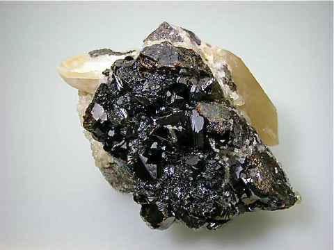 Calcite on Sphalerite, Sub-Rosiclare Level, Deardorff Mine, Ozark-Mahoning Company Cave-in-Rock District Southern Illinois, Mined June 8, 1968, Dr. Perry & Anne Bynum Collection, Medium Cabinet 7.0 x 10.2 x 14.5 cm, $200.  Online 11/2. SOLD
