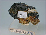 Vivianite, Oruro Department, Bolivia, Eric Peterson Collection, Miniature 1.8 x 2.4 x 4.5 cm, $25. SOLD.