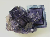 Fluorite with Sphalerite, Rosiclare Level Minerva #1 Mine, Ozark-Mahoning Company, Cave-in-Rock District, Southern Illinois, Mined ca. 1990-1992, Koster Collection #00169, Miniature 2.0 x 2.3 x 4.0 cm, $125. Online 03/04.  SOLD.