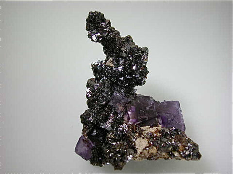 Fluorite and Sphalerite, Rosiclare Level, Lillie Pod North End, Denton Mine, Ozark-Mahoning Company, Harris Creek District, Southern Illinois, Mined c. 1984, Tolonen Collection, Small Cabinet 5.5 x 7.0 x 9.0 cm, $1200.  Online 1/15. SOLD.