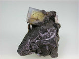 Fluorite with Sphalerite, Rosiclare Level Minerva #1 Mine, Ozark-Mahoning Company, Cave-in-Rock District, Southern Illinois, Mined c. 1992-1994, Tolonen Collection, Small Cabinet 4.0 x 5.5 x 8.0 cm, $350.  SOLD