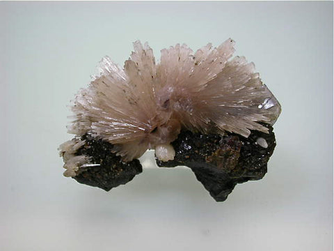 Strontianite on Sphalerite, Rosiclare Level Minerva #1 Mine, Ozark-Mahoning Company, Cave-in-Rock District, Southern Illinois, Mined 1995, Tolonen Collection, Miniature 4.0 x 5.5 x 6.5 cm, $125.  Online 3/18. SOLD.