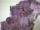 Calcite and Chalcopyrite on Fluorite, Sub-Rosiclare Level Bahama Orebody Denton Mine, Ozark-Mahoning Company, Harris Creek District, Southern Illinois, Mined ca. 1992-1993, Koster Collection #00245, Medium Cabinet 8.0 x 9.0 x 14.0 cm, $650. SOLD.
