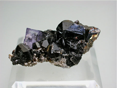 Fluorite and Sphalerite, Rosiclare Level, North-End, Denton Mine, Ozark-Mahoning Company, Harris Creek District, Southern Illinois 1.5 x 1.7 x 3.5 cm $25. Online August 1 SOLD