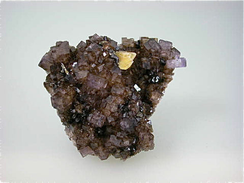 Barite and Sphalerite on Fluorite, attr: Sub-Rosiclare Level, Denton Mine, Ozark-Mahoning Company, Harris Creek District, Southern Illinois Miniature 3 x 5 x 6 cm $125. Online 5/10 SOLD