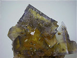 Fluorite with Chalcopyrite, Rosiclare Level, Main Ore Body, Denton Mine, Ozark-Mahoning Company, Harris Creek District, Southern Illinois, Mined c. 1982, Tolonen Collection, Small Cabinet 4.0 x 6.0 x 7.5 cm, $250. SOLD