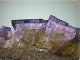Fluorite, Rosiclare Level Main Ore Body, Denton Mine, Ozark-Mahoning Company, Harris Creek District, Southern Illinois, Mined ca. 1980-1982, Koster Collection, Medium Cabinet 4.5 x 10.0 x 14.0 cm, $500.  SOLD.