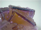Fluorite with Barite Inclusions, Rosiclare Level Minerva #1 Mine, Ozark-Mahoning Company, Cave-in-Rock District, Southern Illinois, Mined ca. 1993, Koster Collection, Medium Cabinet 5.5 x 8.5 x 11.5 cm, $350. SOLD.